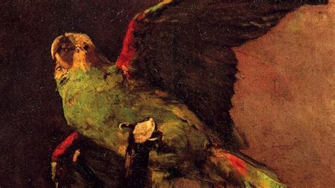  The Valiant Parrot: A 17th-Century Colombian Fable About Courage and Cleverness!